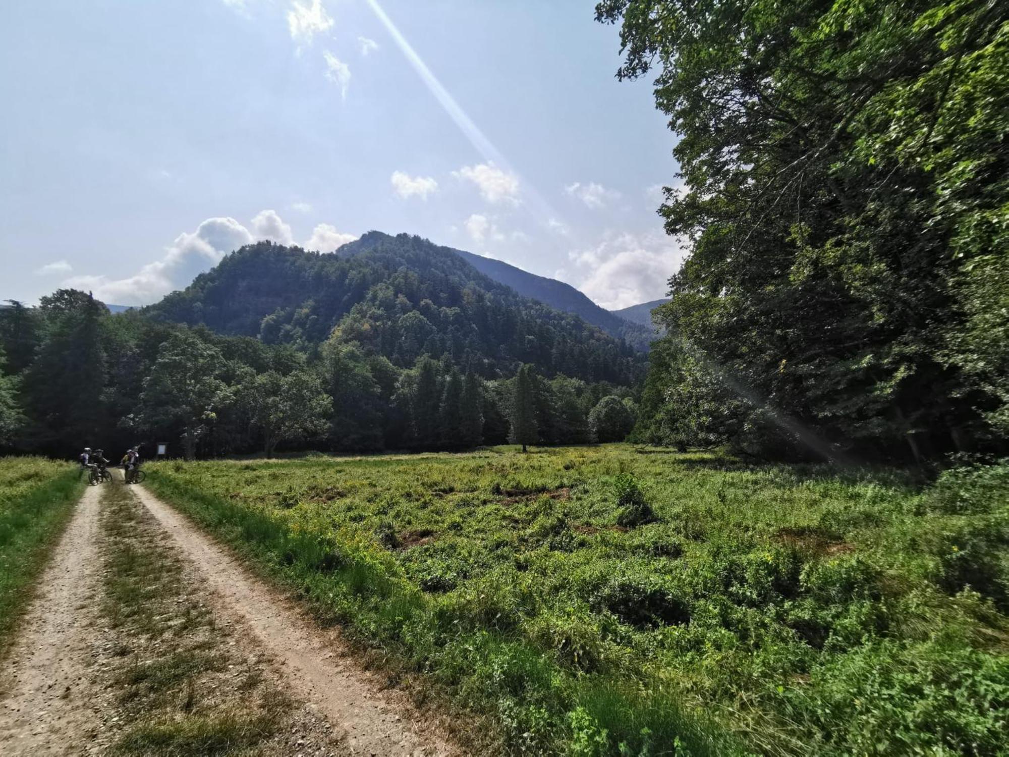 Il Rifugio Di Vale Villa Cetica Buitenkant foto